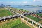 确定了！武汉这3条地铁年内开通 - 新浪湖北