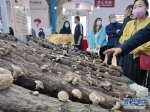 图为2021湖北·随州国际香菇产业博览会现场 - 新浪湖北