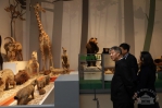 “珞珞如石”万林艺术博物馆基本陈列正式开幕 - 武汉大学