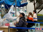 资料图：市民接受核酸检测。　钱晨菲 摄 - 新浪湖北