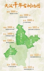 武汉有十株千年古树 最年长的已1200岁 - Hb.Chinanews.Com