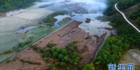 图为大九湖国际重要湿地 新华网发 - 新浪湖北