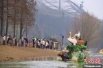 春节假期，市民在武汉野生动物王国游玩 武汉市文化和旅游局供图 - 新浪湖北