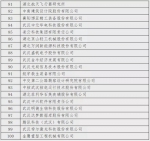 首次发布！湖北省高新技术企业百强榜单出炉 - 新浪湖北