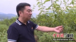 兴山“新农人”的新年梦想：带更多农户致富增收 - Hb.Chinanews.Com