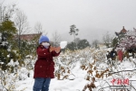 资料图：2月7日，安徽省合肥市迎来降雪天气，小朋友在嬉雪。 韩苏原 摄 - 新浪湖北