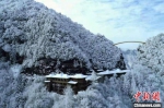 雪后神农架天燕景区如一幅水墨丹青。　邓丽 摄 - 新浪湖北
