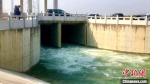 鄂北水资源配置工程加大流量试通水通过枣阳　唐庆春　摄 - 新浪湖北