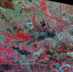 武汉大学启明星一号微纳卫星传回的湖北孝感影像（彩红外）。新华网发 武汉大学供图 - 新浪湖北