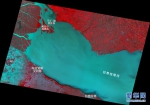 武汉大学启明星一号微纳卫星传回的布宜诺斯艾利斯影像（彩红外）。新华网发 武汉大学供图 - 新浪湖北