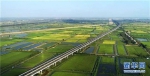 图为鄂州花湖机场高速。新华网发 - 新浪湖北