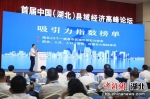 《湖北一类县市区城市体检报告》发布 刘康 摄 - Hb.Chinanews.Com