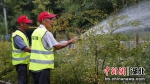 园林工人在城东公园进行人工牵管浇灌 张倩龙 摄 - Hb.Chinanews.Com