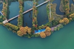 2021年11月18日 吴伟摄于东湖湖中道湿地公园 五彩缤纷，七彩迷离，勾出一幅秋天的童话 - 新浪湖北