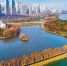 武汉东湖绿道风景如画。新华网发 - 新浪湖北
