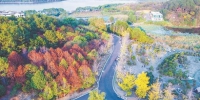 藏龙岛国家湿地公园正上演秋天的童话 - Hb.Chinanews.Com