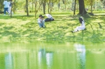 解放公园小微湿地，居民身边的诗情画意 - Hb.Chinanews.Com