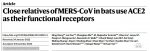 严欢研究组揭示蝙蝠MERS相关冠状病毒功能性受体 - 武汉大学