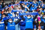 12月31日，武汉三镇队球迷庆祝球队夺冠。新华社记者伍志尊摄 - 新浪湖北