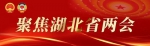 孙伟当选湖北省政协主席 尔肯江·吐拉洪等9人当选副主席 - 新浪湖北