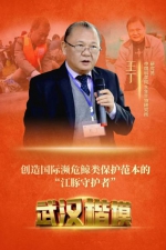 武汉楷模 二十四小时 - Hb.Chinanews.Com