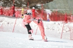 　　1月24日，湖北恩施绿葱坡滑雪场迎来春节“滑雪热”。新华社发（焦国斌 摄） - 新浪湖北