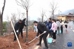 3月11日，大冶铁矿工人在曾经工作过的地方植树造林。新华社发 （陈田浩 摄） - 新浪湖北