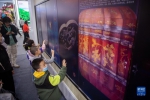 图为第二届中国（武汉）文化旅游博览会江苏馆里的多人交互三维文物展示大屏。新华社记者伍志尊 摄 - 新浪湖北