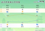 升温！湖北气温将全面回升 最高气温直奔30℃ - 新浪湖北