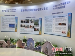 《基本法》及《香港国安法》展览武汉站开幕 - Hb.Chinanews.Com