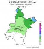 武汉市将有新一轮强降雨来袭 - 新浪湖北