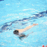 2023年全国青少年花样游泳(U系列)锦标赛现场 兰文凯 摄 - Hb.Chinanews.Com