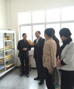学校到精准扶贫点督办调研 - 武汉纺织大学