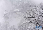 春日飞雪遮山色 - Hb.Xinhuanet.Com