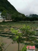 湖北五峰发生暴雨洪灾 2万余人受灾（组图） - Hb.Chinanews.Com