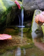 县城西边，有大塘方家湾小溪，幽谷迂回，春水融融，是所谓“小谷春流”。 - 新浪湖北