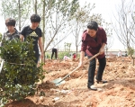 植树造林，给纺大一点色彩 - 武汉纺织大学