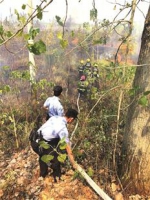 武汉一地1天内发生三起山火 民警顾不上吃饭及时扑灭 - 新浪湖北