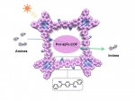 汪成课题组成功合成全共轭二维卟啉基共价有机框架 - 武汉大学