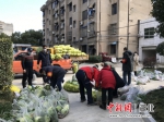 图为京山市交通运输局党员突击队分拣打包蔬菜 - Hb.Chinanews.Com