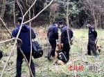 被盗树苗有“异香” 襄阳民警携追踪犬快速破案 - Hb.Chinanews.Com