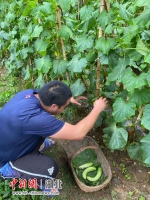 襄阳公安扶贫队员暴雨中开启“援助模式” - Hb.Chinanews.Com