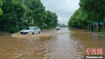 车辆通过积水路段。　周星亮 摄 - 新浪湖北