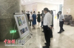 洪山区文化和旅游局局长李海涛带领大家观展 - Hb.Chinanews.Com