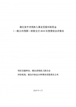 2019年中央残疾人事业发展补助资金（一般公共预算）绩效自评报告 - 残疾人联合会