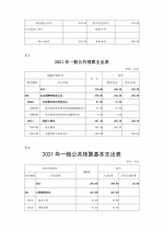 湖北省残疾人就业服务中心2021年度预算 - 残疾人联合会