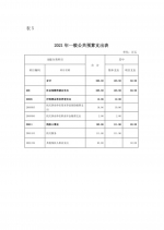 湖北省残疾人业余艺术团2021年部门预算公开 - 残疾人联合会