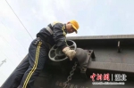 致敬劳动者｜穿梭铁轨间为火车“编队” - Hb.Chinanews.Com