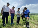 北京科技大学李延祥教授团队在阳新进行田野调查。（湖北日报全媒记者 龚雪 摄） - 新浪湖北