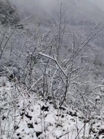 湖北多地出现降雪 部分地区发布道路结冰预警 - 新浪湖北